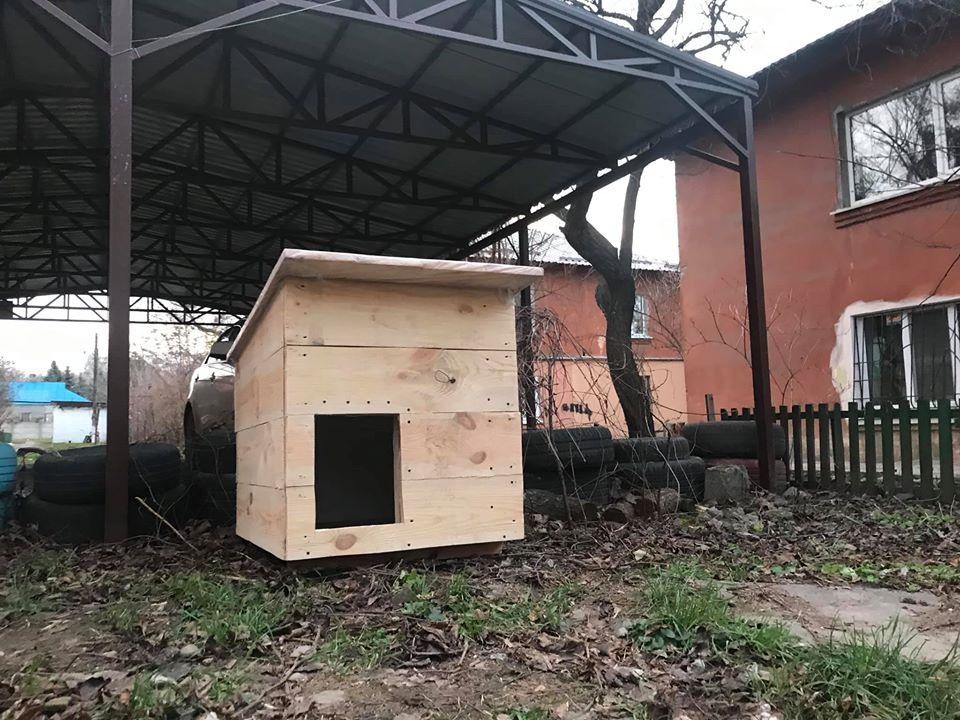 В Днепре бездомной собаке сделали утеплённый дом - рис. 4