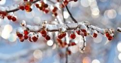 Какая погода будет в Днепре 18 января - рис. 10