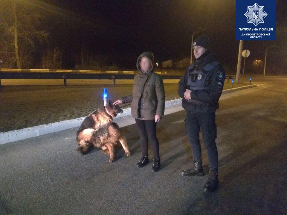 Мохнатые беглецы: в Днепре патрульные вернули хозяйке сбежавших собак - рис. 2