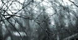 Какая погода будет в Днепре 26 января - рис. 1