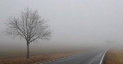 Какая погода будет в Днепре 15 января - рис. 13