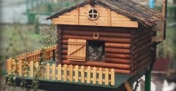 Кошка приютила чужих котят: кто поселился в домике во дворе на Калиновой (ФОТО) - рис. 19