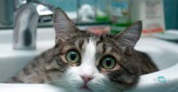 Проверьте запасы: где 28 января в Днепре не будет воды (АДРЕСА) - рис. 3