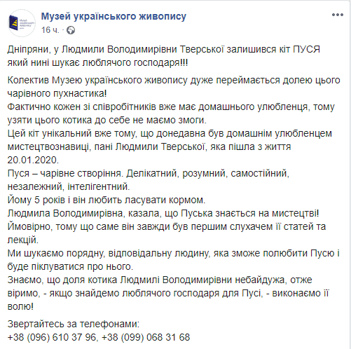 Приютите пушистика: кот умершей Людмилы Тверской ищет дом (ФОТО) - рис. 3
