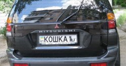 ЗЛАЯЗАЯ, ШАУРМА, БАРМАЛЕЙ и ZADROT: какие необычные автономера днепряне заказывали в 2019 году - рис. 11