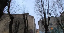 В Днепре возле своего дома на дереве повесился подросток (ФОТО) - рис. 20