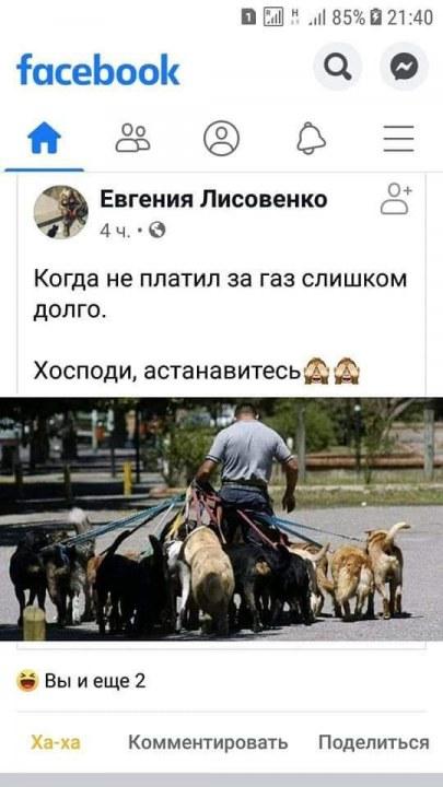 «Продай собаку-заплати за газ»: скандал с депутатом Евгением Брагаром всколыхнул Украину - рис. 8