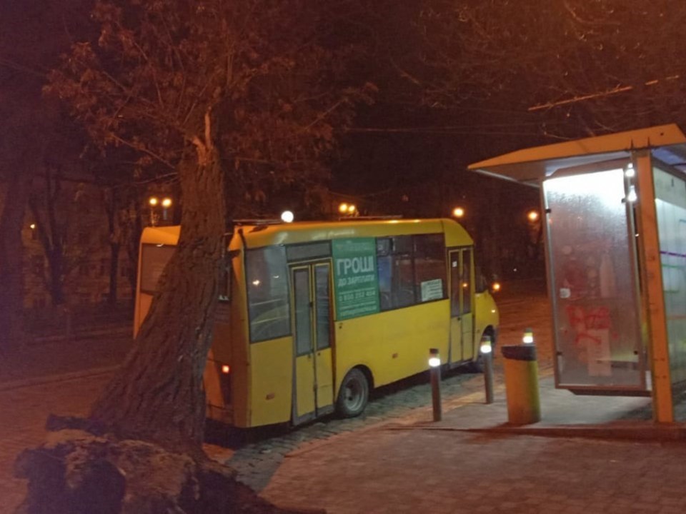 В центре Днепра на маршрутку с пассажирами упало дерево (ФОТО) - рис. 1