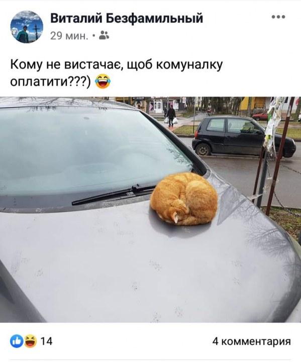 «Продай собаку-заплати за газ»: скандал с депутатом Евгением Брагаром всколыхнул Украину - рис. 7