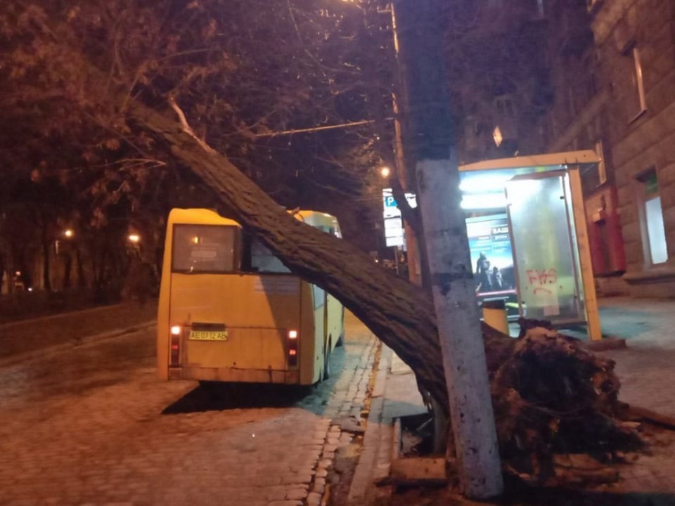 В центре Днепра на маршрутку с пассажирами упало дерево (ФОТО) - рис. 4