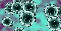 В Днепре создали чрезвычайную комиссию по борьбе с коронавирусом (ФОТО) - рис. 5