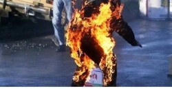 Митинг медиков: под Офисом Президента мужчина устроил акт самосожжения (ВИДЕО) - рис. 5