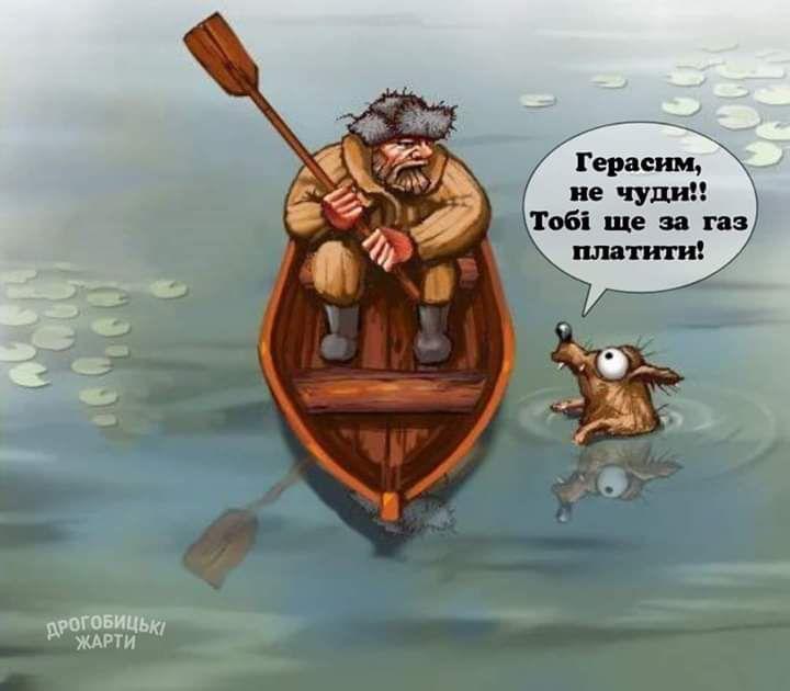 «Продай собаку-заплати за газ»: скандал с депутатом Евгением Брагаром всколыхнул Украину - рис. 6