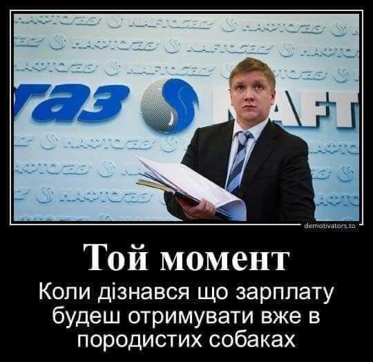«Продай собаку-заплати за газ»: скандал с депутатом Евгением Брагаром всколыхнул Украину - рис. 11