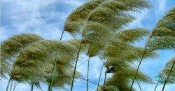 Какая погода будет в Днепре 26 февраля - рис. 14