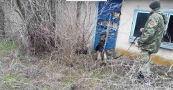 Под Днепром кинологи с собаками всю ночь искали пропавшего подростка - рис. 11