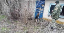 Под Днепром кинологи с собаками всю ночь искали пропавшего подростка - рис. 4