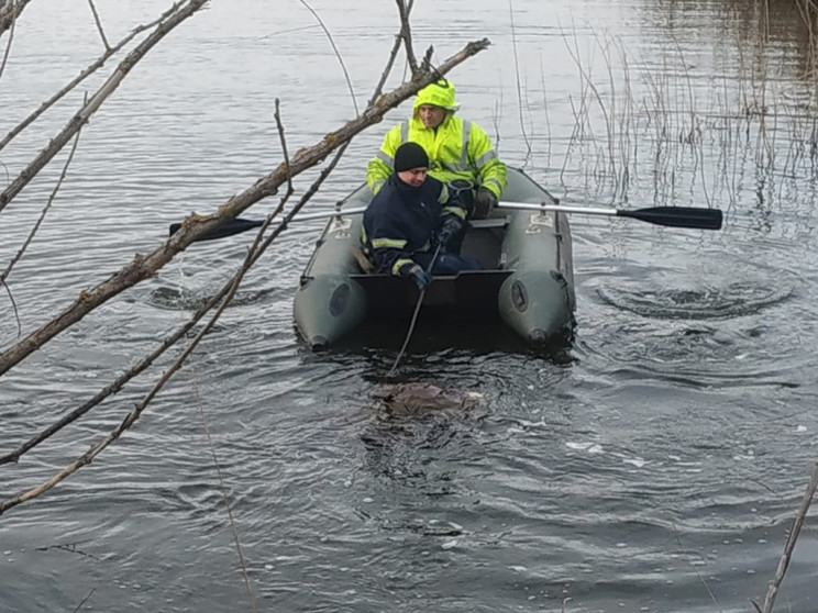 Под Днепром спасатели нашли в реке тело 83-летнего дедушки - рис. 2
