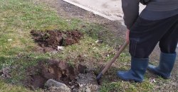 В Днепре мужчина за свои деньги высаживает клены и рябины (ФОТО) - рис. 4