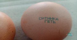 Неожиданный сюрприз: митингующие подарили "именные" яйца директору НАБУ - рис. 7