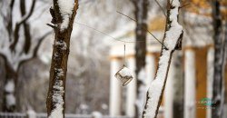 Снег кружится: как выглядит утренний Днепр сегодня во время снегопада (ФОТО, ВИДЕО) - рис. 1