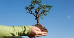 Спасите планету - посадите дерево: днепрян призывают присоединиться к всеукраинскому флешмобу - рис. 3