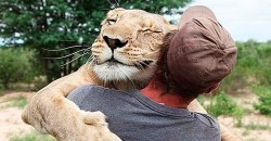 Оказался в ловушке: на Днепропетровщине спасатели вытащили на берег тонущее животное (ФОТО) - рис. 5