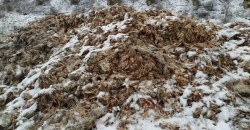 Под Кривым Рогом выбросили сотни мертвых кур (ФОТО) - рис. 10