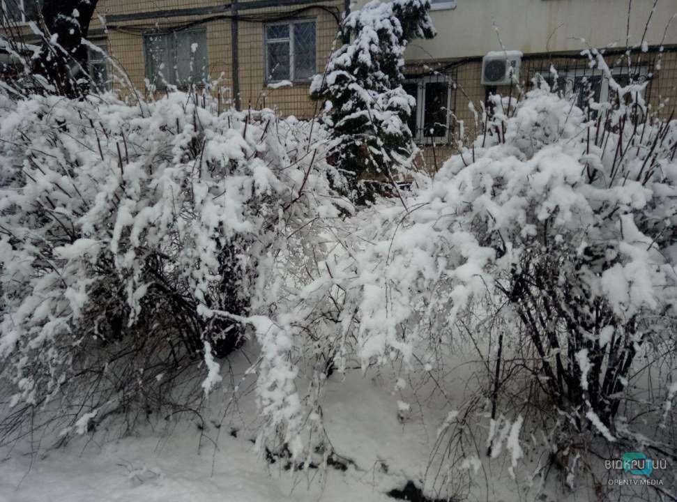 Снег кружится: как выглядит утренний Днепр сегодня во время снегопада (ФОТО, ВИДЕО) - рис. 5