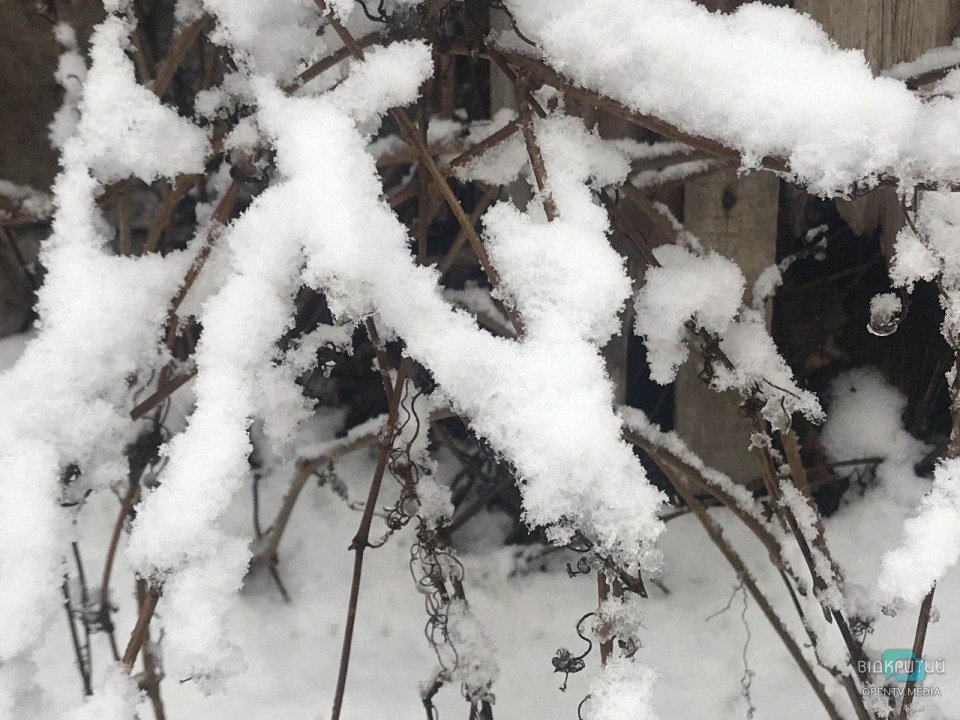 Снег кружится: как выглядит утренний Днепр сегодня во время снегопада (ФОТО, ВИДЕО) - рис. 12