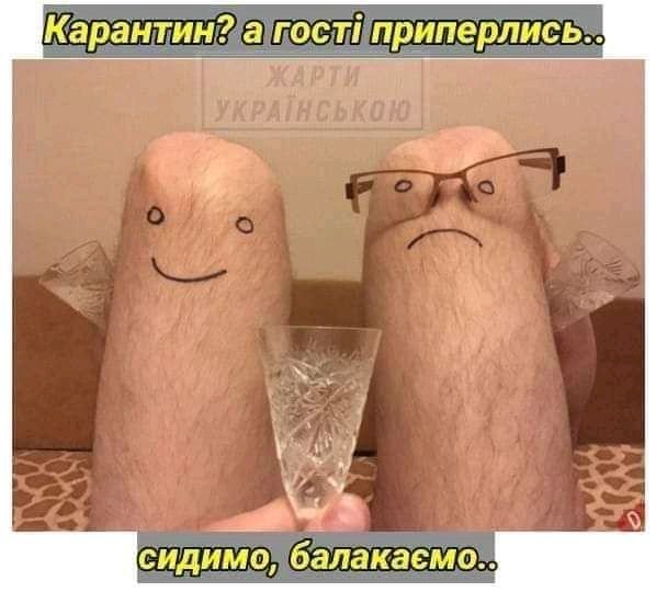 Самоизоляция с юмором: ТОП-20 мемов и приколов о карантине из-за коронавируса в Украине (ФОТО) - рис. 1