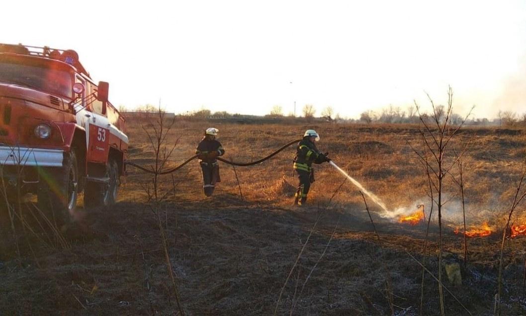 Под Днепром вспыхнул сильный пожар на поле: выгорело больше 2 гектаров - рис. 2