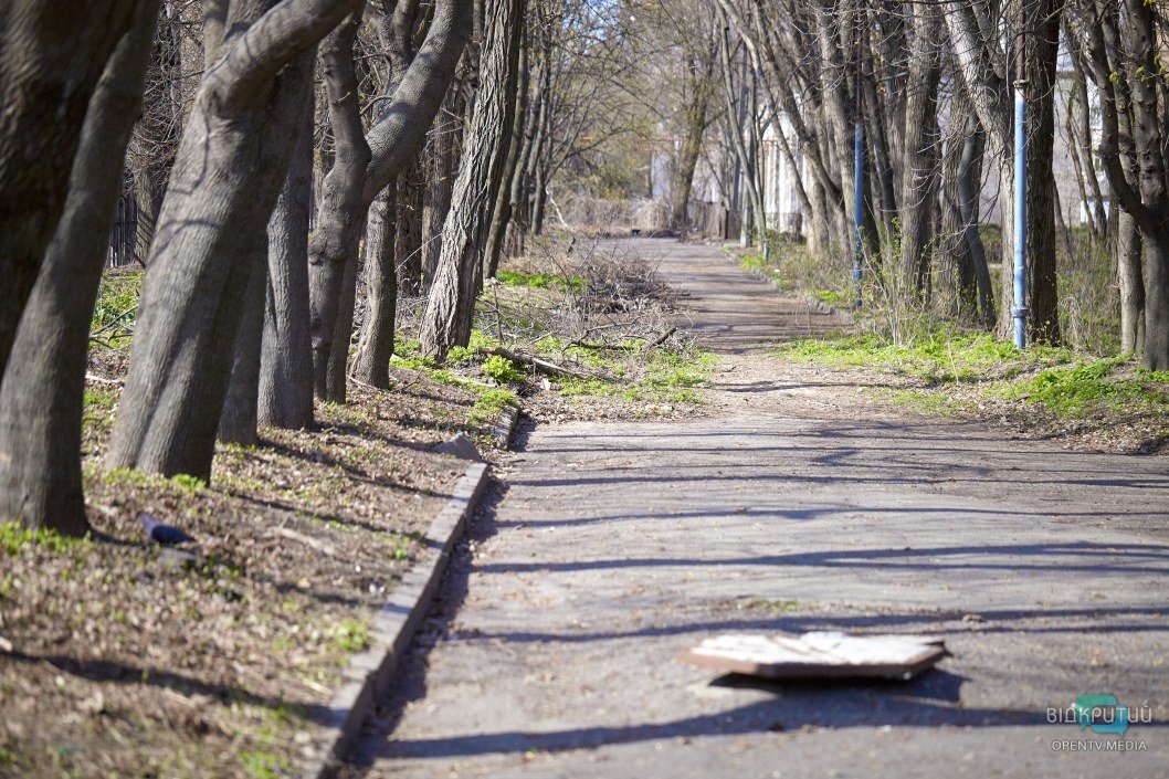 Весенние прогулки или самоизоляция: что происходит во время карантина в парке на проспекте Гагарина в Днепре (ФОТОРЕПОРТАЖ) - рис. 17