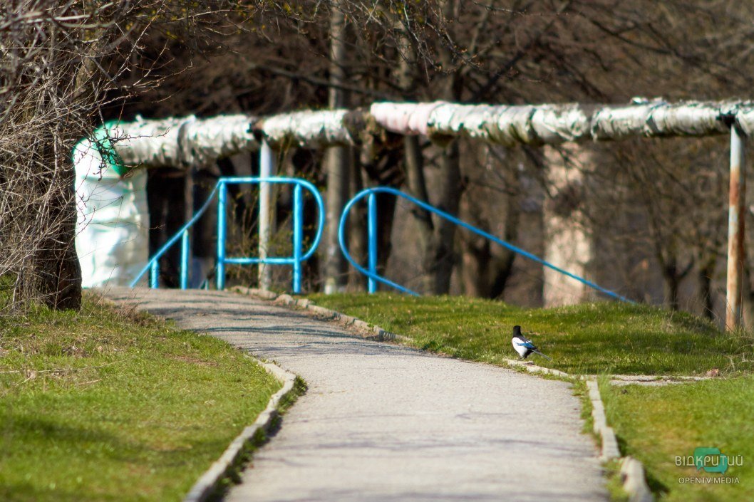 Весенние прогулки или самоизоляция: что происходит во время карантина в парке на проспекте Гагарина в Днепре (ФОТОРЕПОРТАЖ) - рис. 32