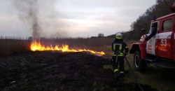 Не до карантина: за сутки пожарные ликвидировали более 20 пожаров в экостистемах на Днепропетровщине - рис. 11