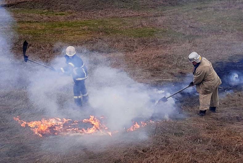 Не до карантина: за сутки пожарные ликвидировали более 20 пожаров в экостистемах на Днепропетровщине - рис. 5