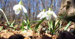 Какая погода будет в Днепре 26 марта - рис. 6