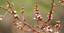 Какая погода будет в Днепре 27 марта - рис. 5