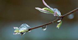 Какая погода будет в Днепре 25 марта - рис. 7