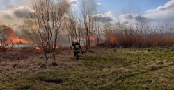 В Днепре горела огромная территория: под угрозой жилые дома - рис. 12