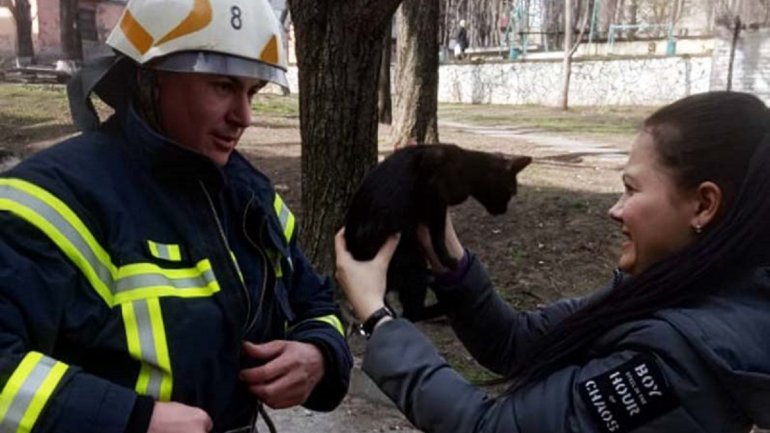 Под Днепром спасатели помогли котенку, который не мог слезть с дерева двое суток