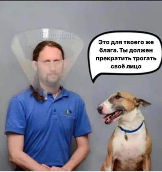 Самоизоляция с юмором: ТОП-20 мемов и приколов о карантине из-за коронавируса в Украине (ФОТО) - рис. 7