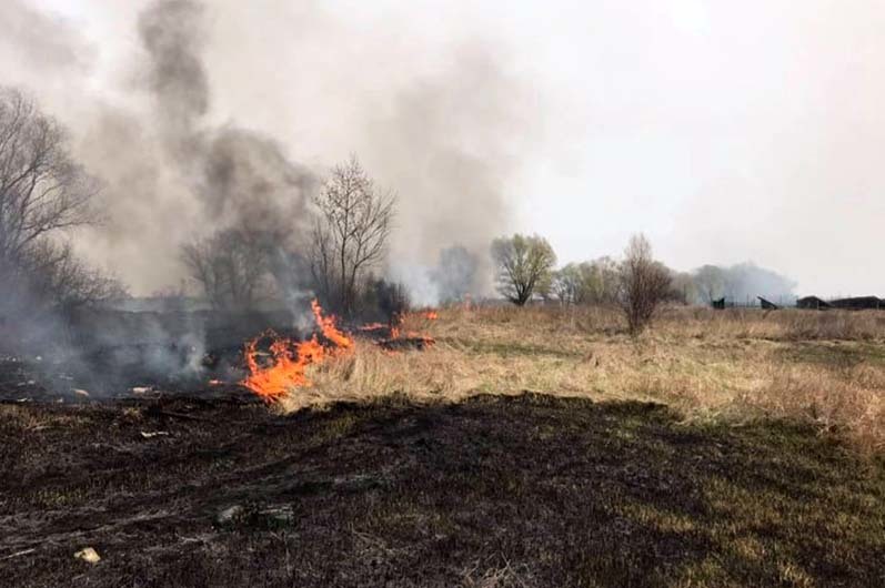 Не до карантина: за сутки пожарные ликвидировали более 20 пожаров в экостистемах на Днепропетровщине - рис. 2