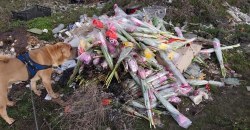 Ни себе, ни людям: под Днепром выкинули кучу непроданных цветов на помойку - рис. 11