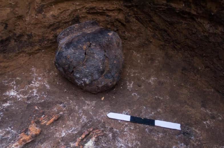 В Днепропетровской области археологи раскопали десятки могил каменного века (ФОТО) - рис. 5