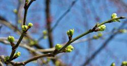 Какая погода будет в Днепре 24 марта - рис. 8