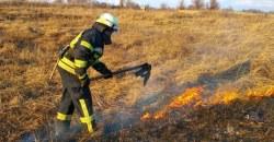 Под Днепром вспыхнул сильный пожар на поле: выгорело больше 2 гектаров - рис. 20