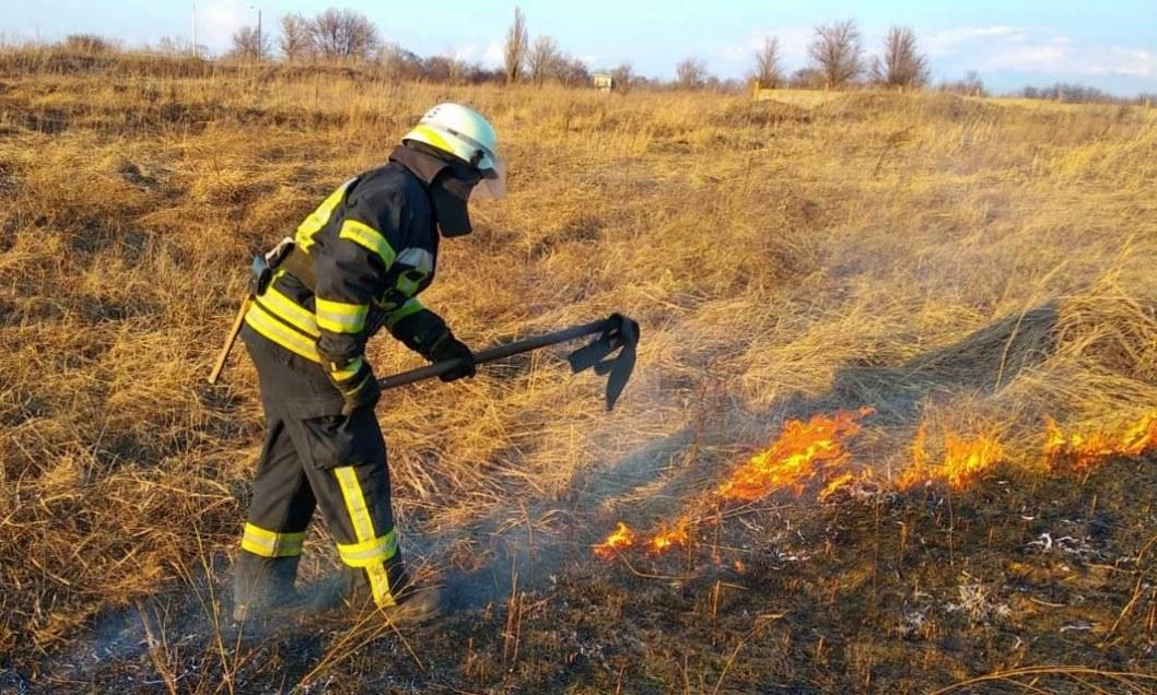 Под Днепром вспыхнул сильный пожар на поле: выгорело больше 2 гектаров - рис. 3