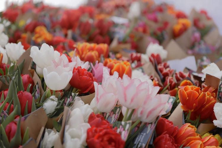Праздничное поздравление от мэра: 8 марта на улицах Днепра женщинам дарили цветы - рис. 1