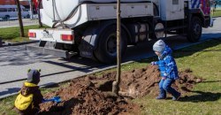 Озеленение города идет полным ходом: в Днепре планируют высадить более 3 тысяч деревьев - рис. 18